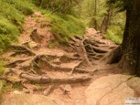 2025-07-27 M. Pelago e Lacs Bessons 239